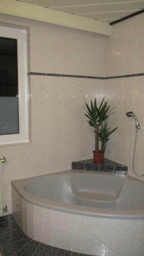 Wohnung In Haiding/Wels Екстериор снимка